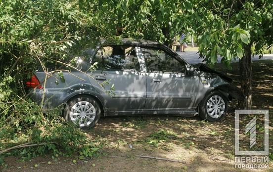 В Кривом Роге автомобиль врезался в дерево