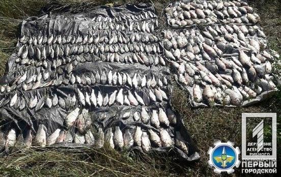 Плотва, карась, окунь: жителя Кривого Рога поймали на незаконной ловле рыбы
