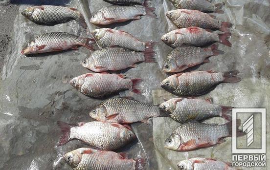 245 рейдов, 362 нарушения: на Днепропетровщине инспекторы изъяли почти 600 кг незаконно пойманной рыбы