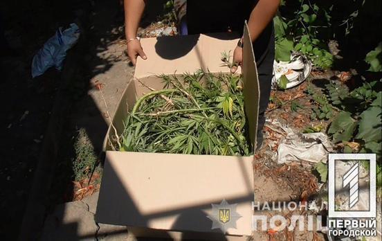 480 головок мака и 30 кустов конопли: в Кривом Роге полицейские изъяли у горожан наркотики
