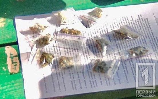 11 слип-пакетов: патрульные Кривого Рога нашли у горожанки марихуану