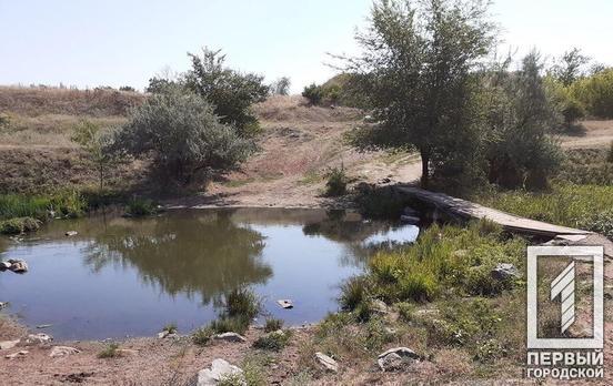 В реке Саксагань нашли кишечную палочку, хлориды и следы фекальных стоков, – экологи Кривого Рога