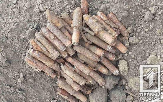 Под Кривым Рогом поисковики нашли 52 снаряда от немецкого гранатомёта