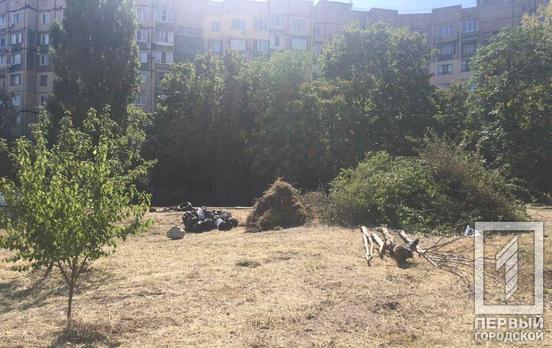 Жители Кривого Рога совместными силами очистили балку Калетина от мусора