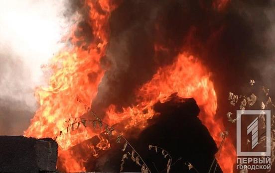В двух районах Кривого Рога горели дачные участки