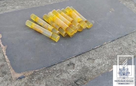 12 трубочек с «феном»: в Кривом Роге полицейские обнаружили наркотики у местной жительницы
