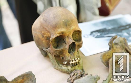Экспертиза подтвердила: найденные в Днепре древние останки принадлежат умершему краеведу и археологу Александру Полю