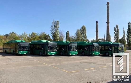 На один из маршрутов в Кривом Роге добавят автобусы большой вместимости
