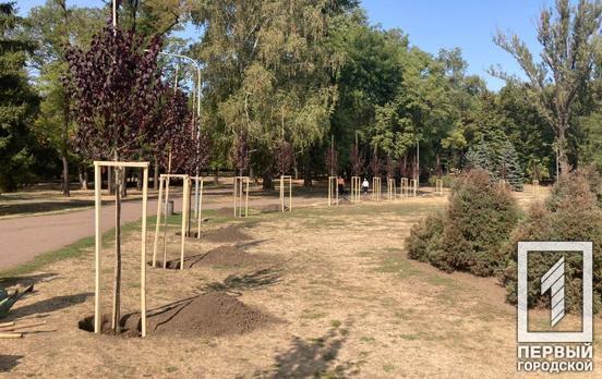 Депутаты горсовета Кривого Рога высадили аллею деревьев