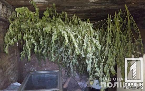 В Кривом Роге полиция изъяла около четырёх килограммов марихуаны у местных жителей