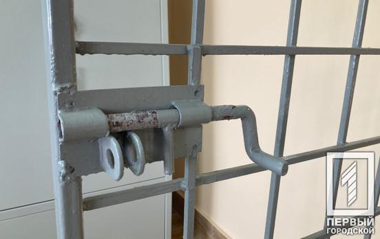 В Кривом Роге двое мародеров пытались обворовать усадьбу