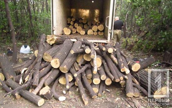 В Кривом Роге полицейские поймали «на горячем» горожанина, который занимался незаконной вырубкой леса