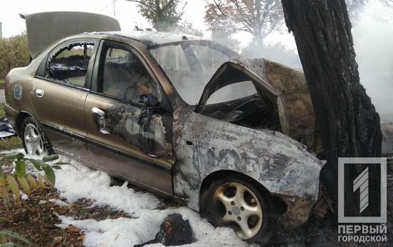 В Кривом Роге автомобиль врезался в дерево и загорелся