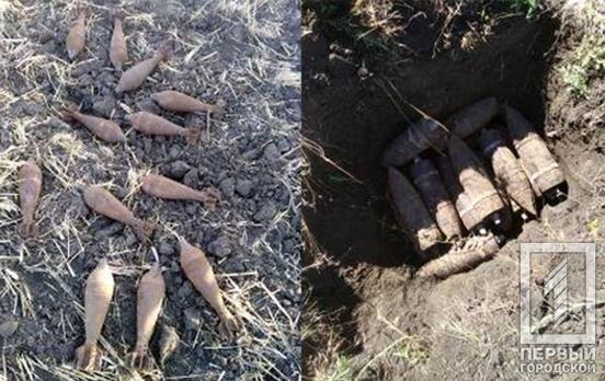 Снаряды, мины и гранаты: под Кривым Рогом группа историков-поисковиков обнаружила устаревшие боеприпасы