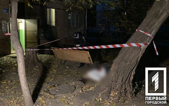 Возле бывшего кинотеатра «Современник» в Кривом Роге зарезали двух мужчин