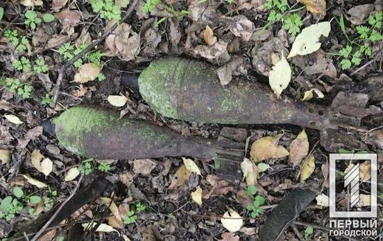 Под Кривым Рогом обнаружили и обезвредили две устаревшие миномётные мины