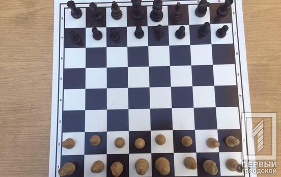 Шахматисты из Кривого Рога сразились в городском онлайн-турнире