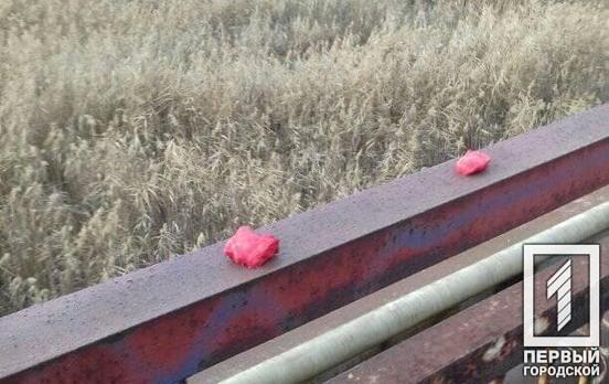 Жителей Кривого Рога озадачило мясо, разложенное на мосту, – соцсети