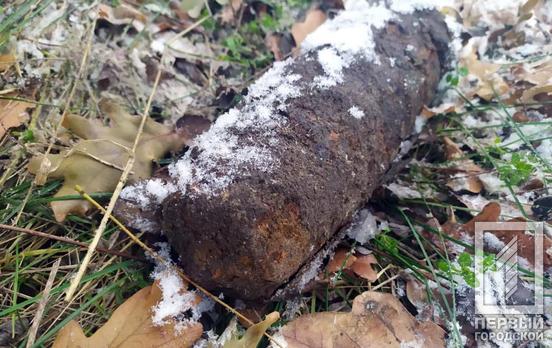 Артснаряд и миномётная мина: недалеко от Кривого Рога нашли боеприпасы времён Второй мировой