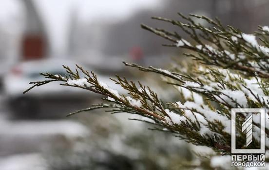 12 декабря в Кривом Роге пройдёт дождь со снегом