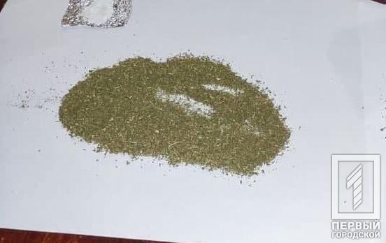 200 граммов «травки»: в тюрьму Кривого Рога инспектор пытался пронести пакет с наркотиками