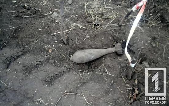 16 артснарядов и мина: под Кривым Рогом обнаружили боеприпасы времён Второй мировой