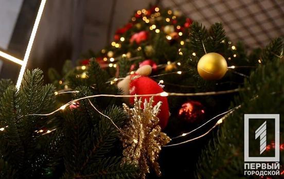 10 лесных красавиц: в Кривом Роге презентовали праздничную карту новогодних ёлок