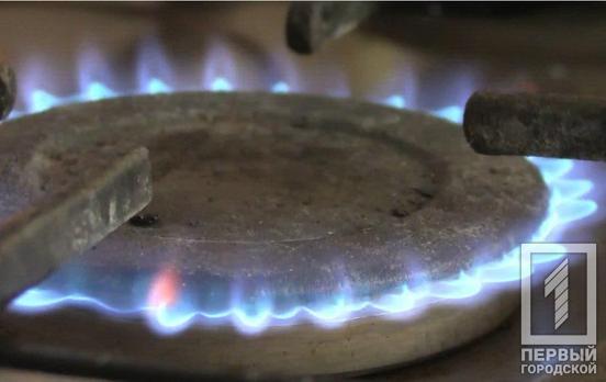 «Люди должны платить за то, что потребляют»: жители Украины требуют отменить плату за доставку газа, – петиция