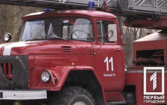 В Кривом Роге чрезвычайники спасли из колодца четырёхлапого