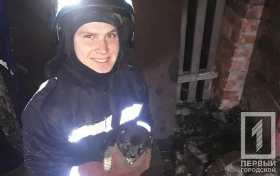 В Кривом Роге спасатели вызволили щенка, который провалился в глубокий колодец