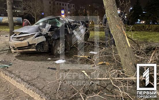 В Кривом Роге легковушка влетела в дерево, водитель не пострадал