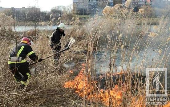 Спасатели потушили пожар в экосистеме одного из микрорайонов Кривого Рога
