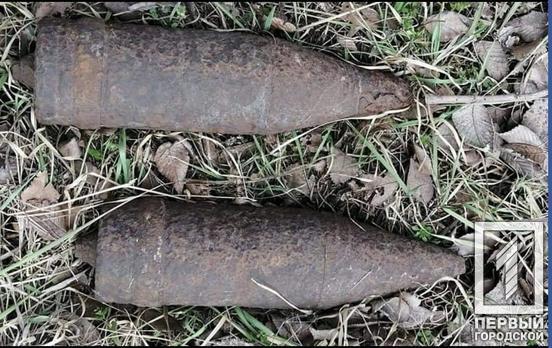 Недалеко от Кривого Рога нашли боеприпасы времён Второй мировой войны