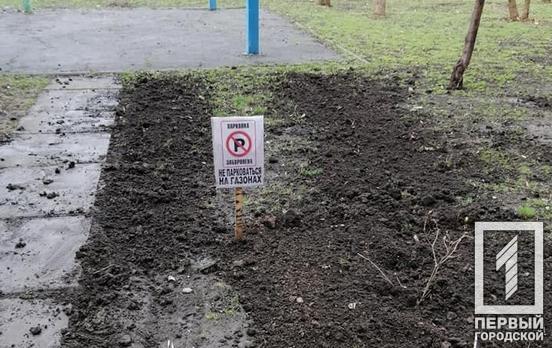 Плодотворное воскресенье: в одном из микрорайонов Кривого Рога местные жители высадили кусты для ликвидации стихийной парковки