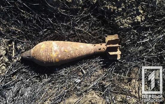 Мина и артснаряд: в Кривом Роге и окрестностях обнаружили боеприпасы времён Второй мировой войны