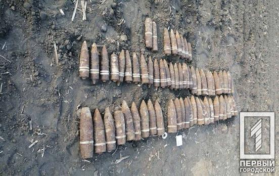 Недалеко от Кривого Рога нашли более 60 артиллерийских снарядов времён Второй мировой войны
