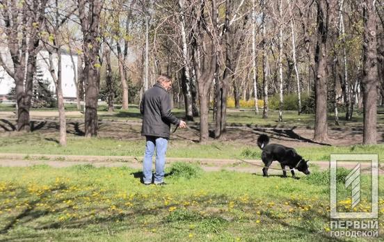 Житель Кривого Рога предлагает построить площадки для выгула собак в одном из районов города, – петиция
