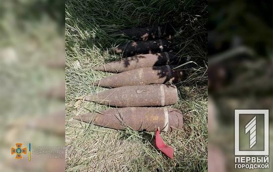 Неподалёку от Кривого Рога пиротехники уничтожили устаревшие боеприпасы, найденные членами историко-поисковой организации