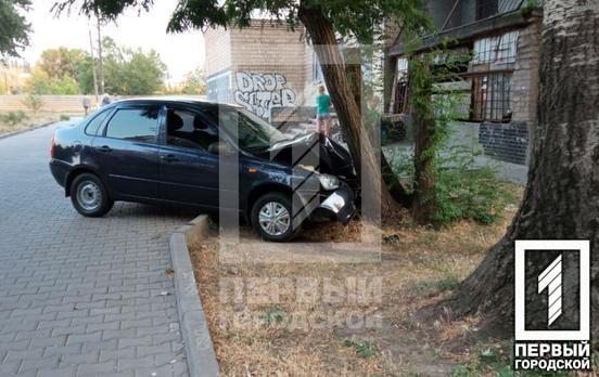 В Кривом Роге водитель легковушки потерял управление и врезался в дерево