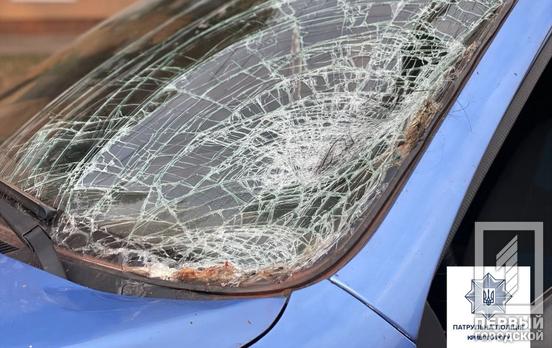 У Кривому Розі водій легкової автівки збив на пішохідному переході жінку