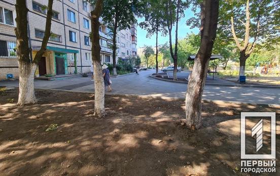 В рамках проекта мэра Константина Павлова на 4-м Заречном этой осенью высадят деревья и кусты