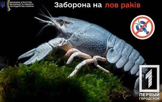 На Дніпропетровщині з 20 серпня розпочинає діяти заборона на вилов раків