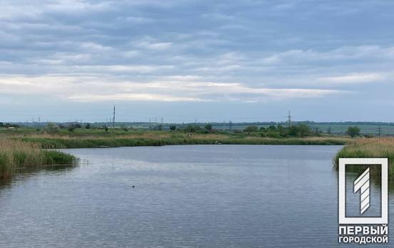 У річці Кривого Рогу виявили перевищення вмісту сульфатів та хлоридів