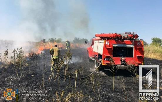 Неподалік Кривого Рогу пожежні ліквідували загоряння сухостою, вогонь поширився на два гектари