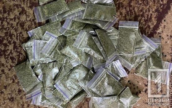 Дома у троих жителей Кривого Рога нашли более 200 пакетиков с наркотиками