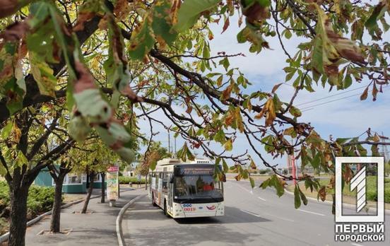 У Кривому Розі тимчасово зміняться схеми руху тролейбусів через ремонт дорожнього покриття в одному з районів міста