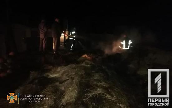 В селе недалеко от Кривого Рога огонь уничтожил пять тонн сена
