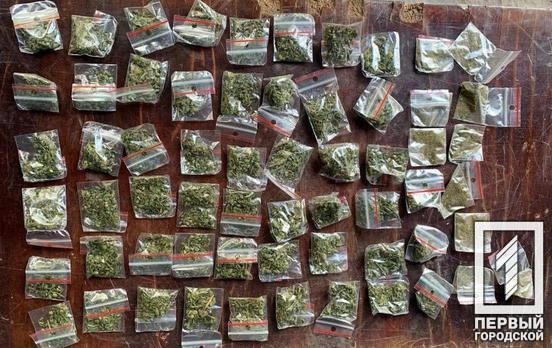 Трубочки с метамфетамином и пакетики с марихуаной: в Кривом Роге за сутки полицейские задержали двоих наркосбытчиков