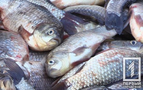 В Україні зросли штрафи за незаконний вилов риби, деякі збільшилися у 100 разів