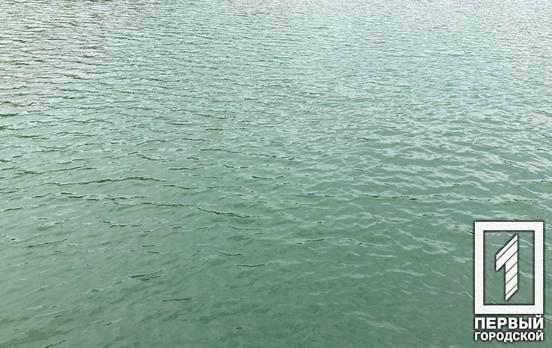 В прошлом месяце в двух реках Кривого Рога экологи обнаружили превышение содержания вредных веществ